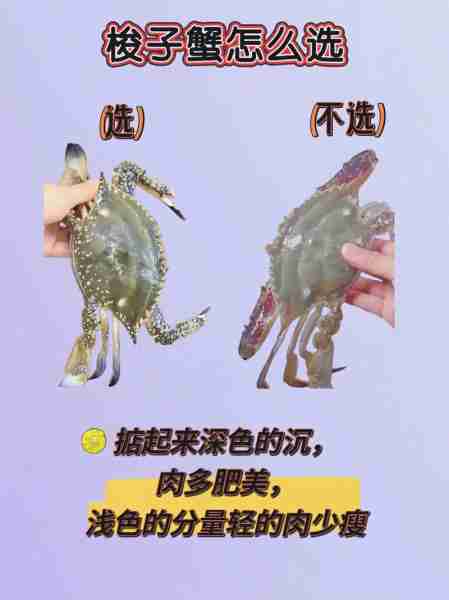 海鲜鲜活挑选必备生活常识/海鲜鲜活挑选必备生活常识图片